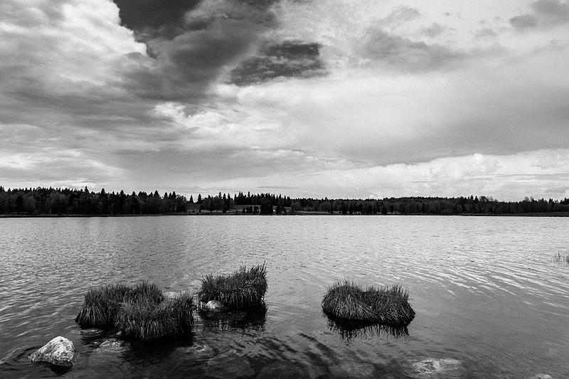 2018_05_08_Jura (0067_b-w).jpg - Lac de Bellefontaine (Mai 2018)